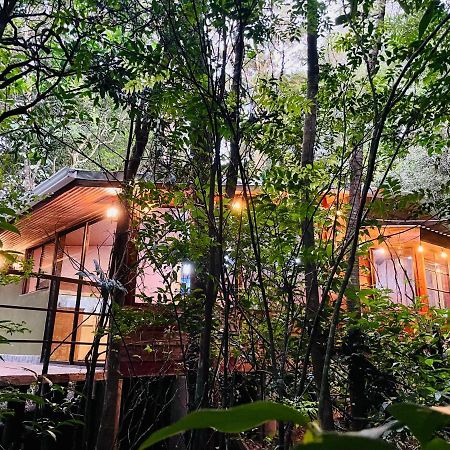 מונטה ורדה Cabanas La Montana Mountain Lodge מראה חיצוני תמונה
