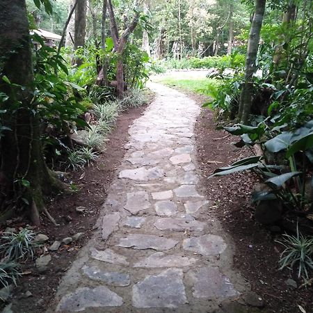 מונטה ורדה Cabanas La Montana Mountain Lodge מראה חיצוני תמונה