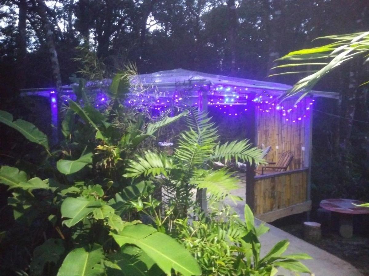 מונטה ורדה Cabanas La Montana Mountain Lodge מראה חיצוני תמונה