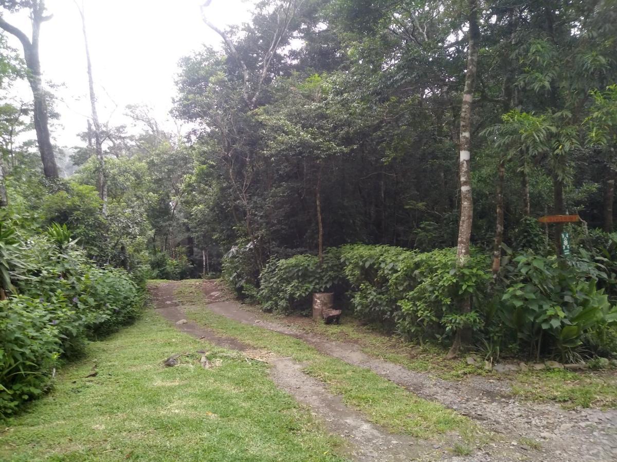 מונטה ורדה Cabanas La Montana Mountain Lodge מראה חיצוני תמונה