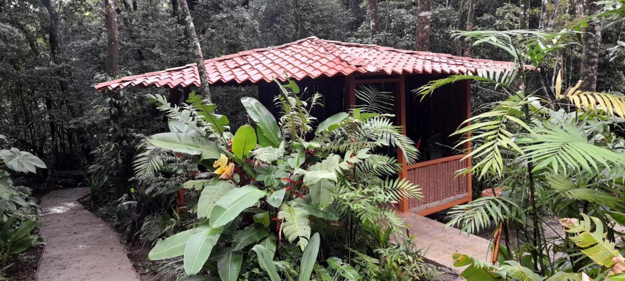 מונטה ורדה Cabanas La Montana Mountain Lodge מראה חיצוני תמונה