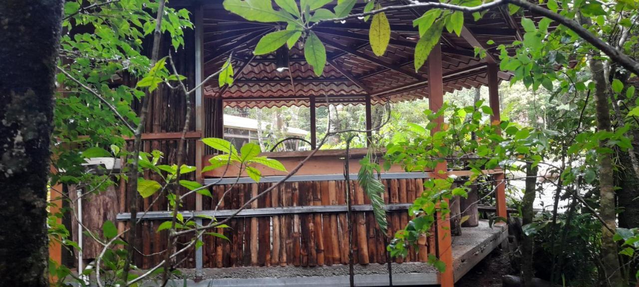 מונטה ורדה Cabanas La Montana Mountain Lodge מראה חיצוני תמונה