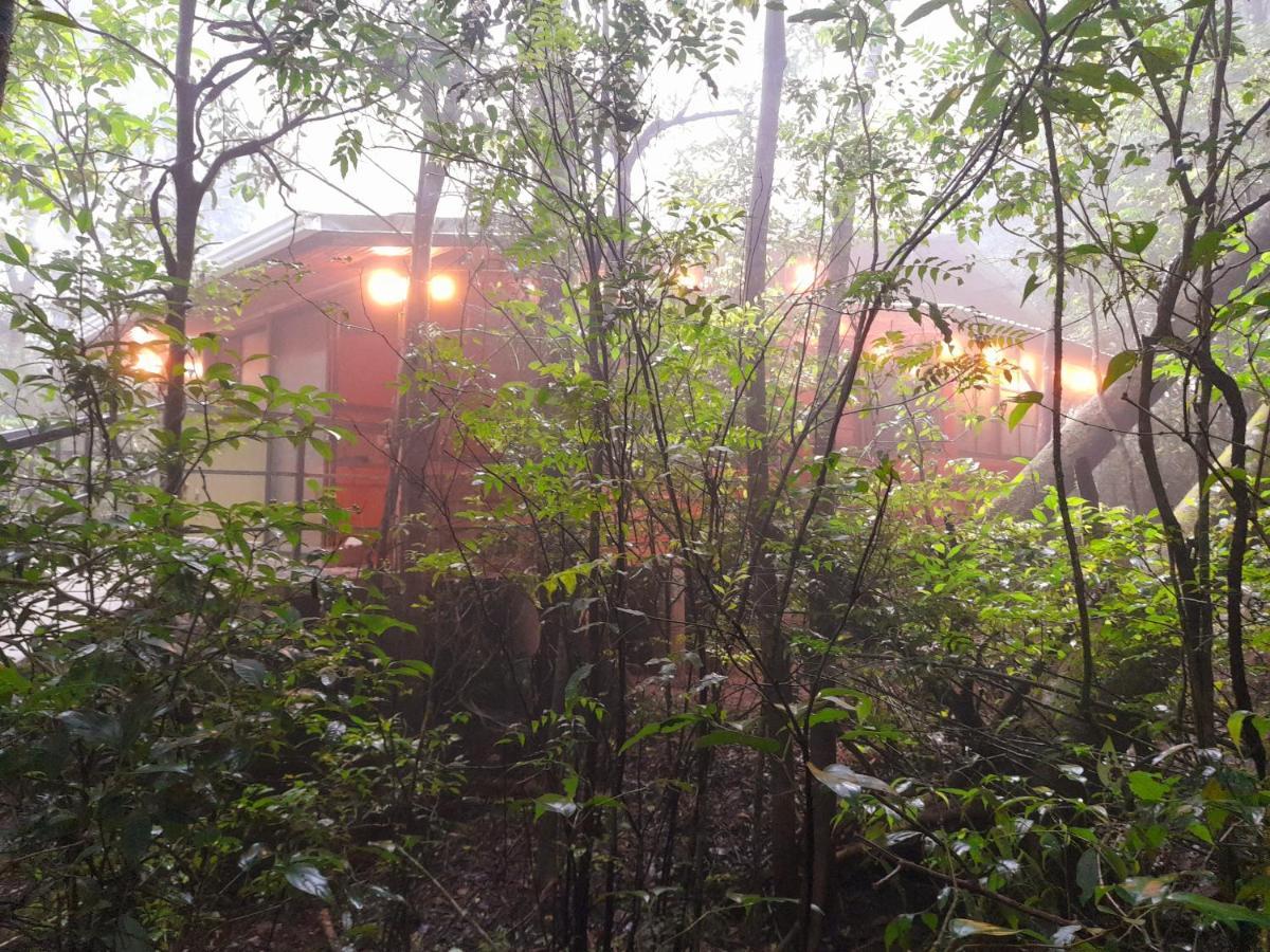מונטה ורדה Cabanas La Montana Mountain Lodge מראה חיצוני תמונה