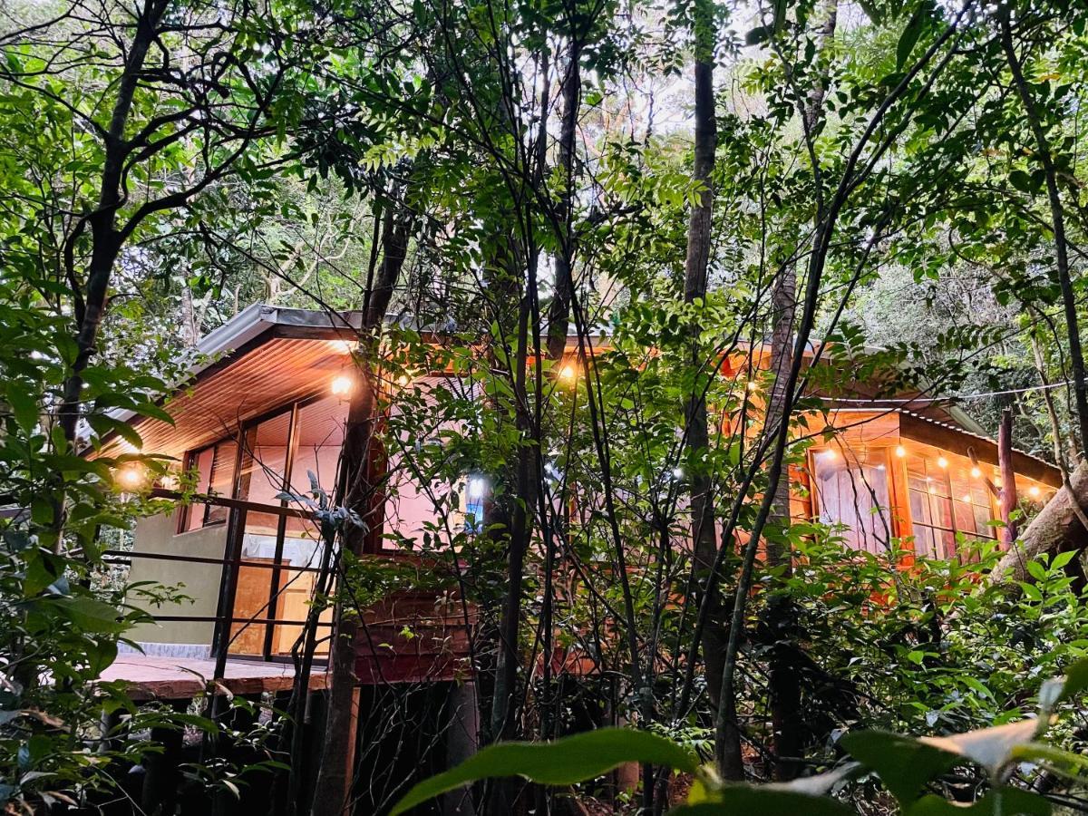 מונטה ורדה Cabanas La Montana Mountain Lodge מראה חיצוני תמונה